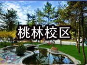 校长信箱