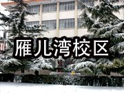 校友