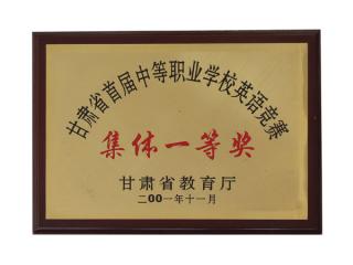 第二届大运会女子排球甲组第五名
